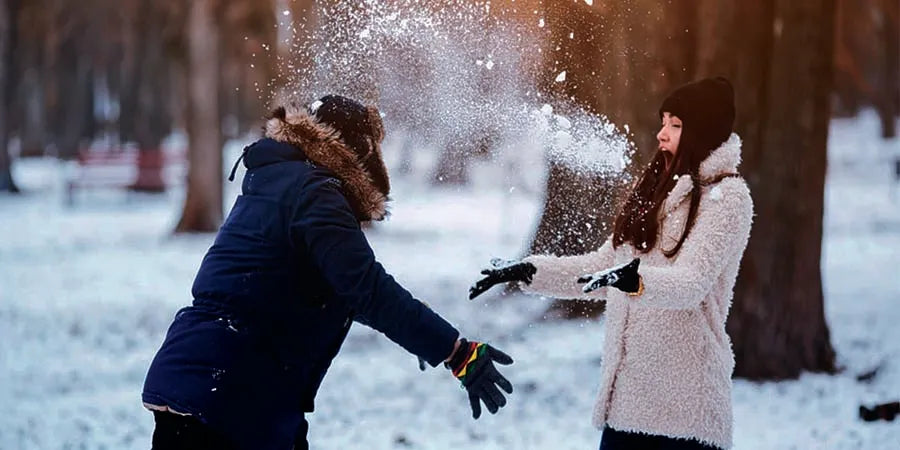 Manali Tour